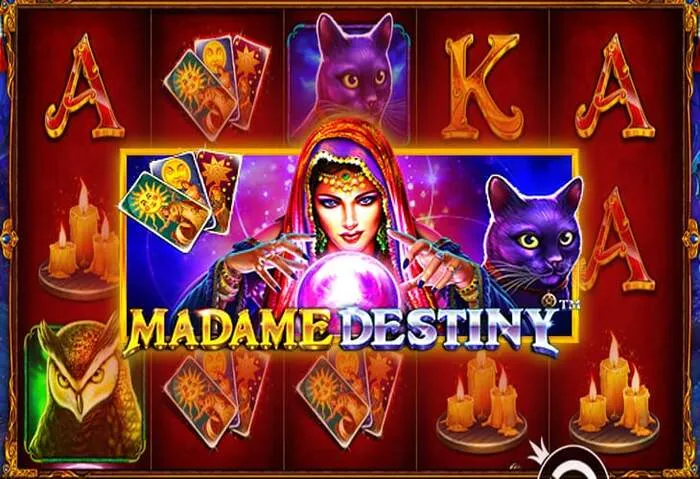 Profitez du Richroyal Casino Bonus sans dépôt.
