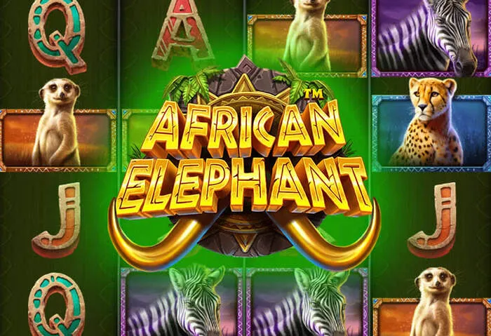 Mastering Banger Casino Crazy Time Strategy and Tips.