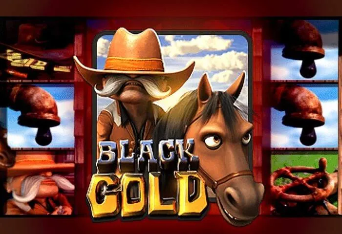 Experience live Richroyal Casino table games