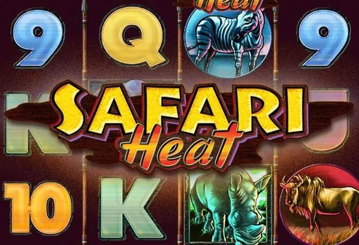 Engaging tutorial for How to Play Crazy Time Live at Banger Casino.